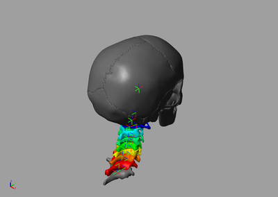Biomechanical simulation of human head and neck motion, with individually colored cervical vertebrae.